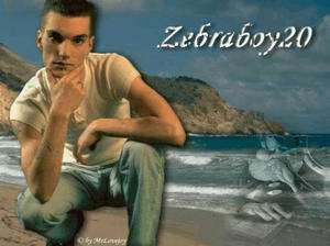 Daubach / Er sucht Sie / Zebraboy20