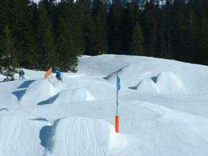 Neunkhausen / Er sucht Sie / Soul-Surfer