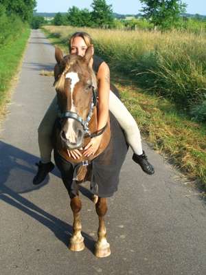 Büchslen / Sie sucht Ihn / lottchen2