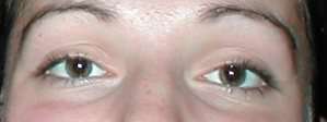 Grevenkrug / Sie sucht Ihn / Liana_Pagua