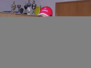 Hagenberg / Er sucht Sie / bmw398