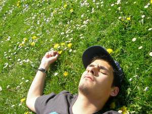 Asenham / Er sucht Sie / dateit