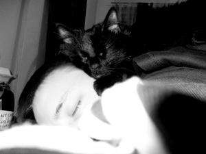 Platt / Er sucht Sie / linky_3
