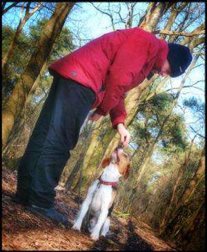 Bockenbach / Er sucht Sie / bruno222