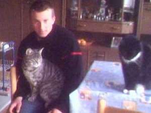 Schaubing / Er sucht Sie / djandre