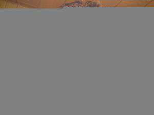 Lohnharting / Er sucht Sie / Loverboy141