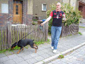 Raan / Er sucht Sie / Goerly