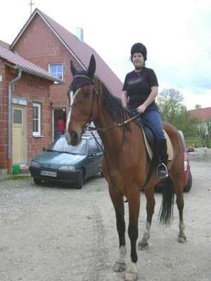 Egelsee / Sie sucht Ihn / sexylissi