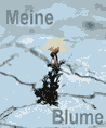 Sitzenberg / Er sucht Sie / Musikkuss