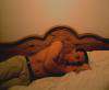 Erpersdorf / Er sucht Sie / jonny91
