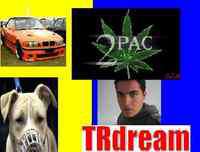 Puch / Er sucht Sie / TRdream