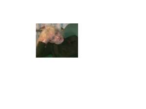 Bissee / Sie sucht Ihn / Marlies_62