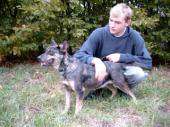 Zell (LU) / Er sucht Sie / Marley22