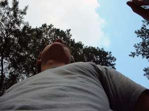 Schwendt / Er sucht Sie / Blauschlumpf