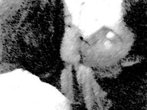 Harxheim / Er sucht Sie / xXLOCOXx