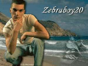 Fraxern / Er sucht Sie / Zebraboy20