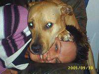 Ficht / Sie sucht Ihn / Angel80H