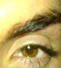 Berchin / Er sucht Sie / JAROD11