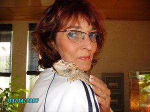 Rehe / Sie sucht Ihn / xenia63