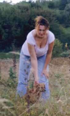 Mechters / Sie sucht Ihn / Salome